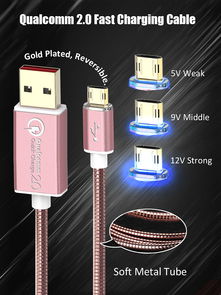 引領科技潮流，專業計算機軟硬件技術開發解決方案